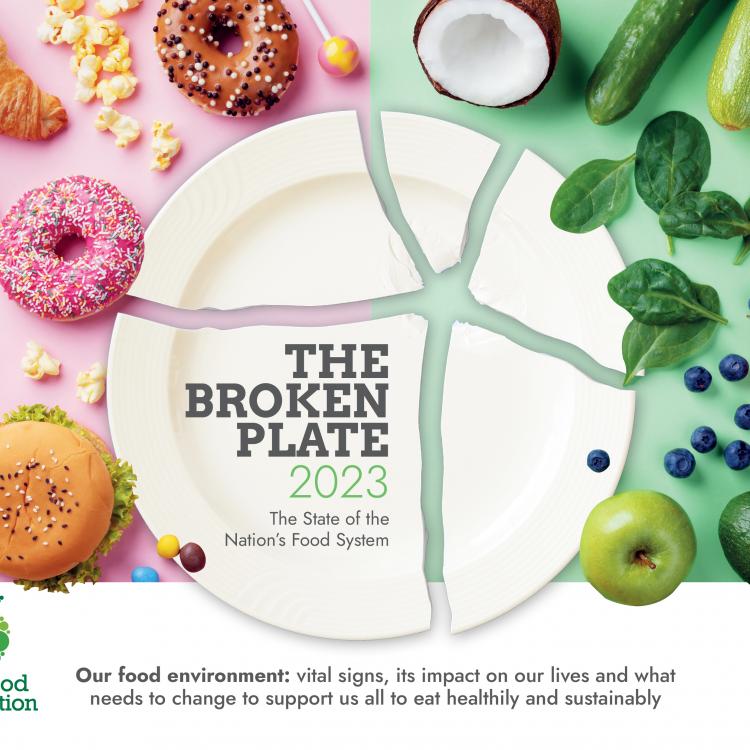 Broken Plate Cover Image